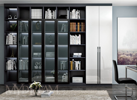 輕奢系列書(shū)柜